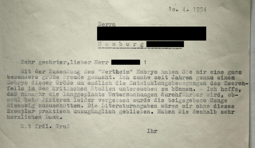 Dankesbrief Blechschmidts zum Embryopräparat 3,4 mm (09.04.1954).